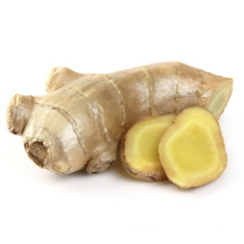 High Quality Fresh Vegetables Ginger